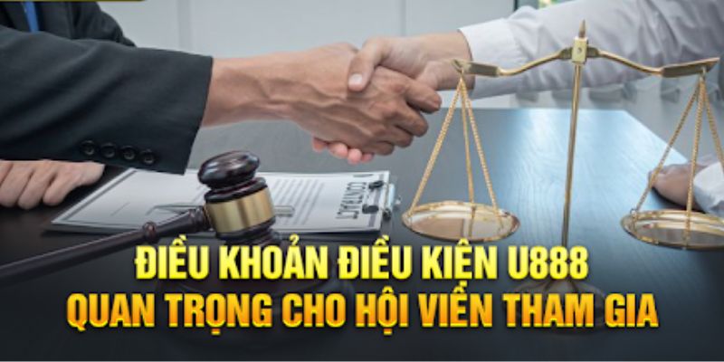 Điều lệ cụ thể của chính sách điều khoản và điều kiện