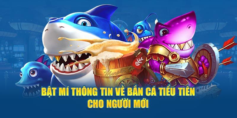 Tổng quan thông tin chung về game bắn cá tiểu tiên cá